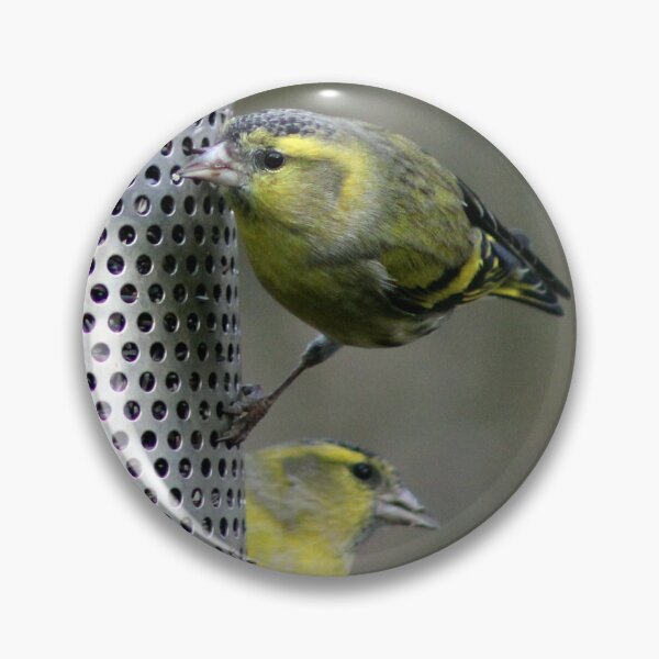 Item preview, siskin designed and sold by KathleenDawson.