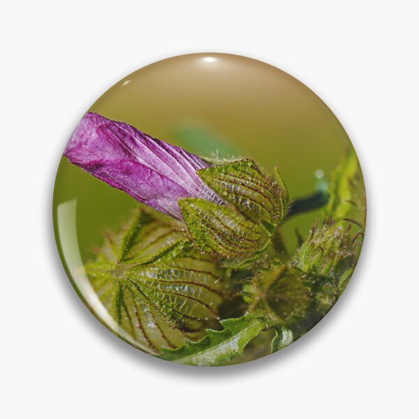Item preview, Pink Hibiscus And Green Buds designed and sold by Joy Watson - Natural Light Photography .