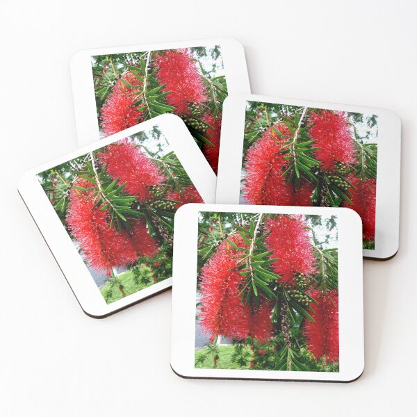 Item preview, Red Bottle Brush, Australia designed and sold by Angela Gannicott.