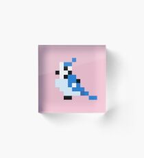Blue Jay Acrylic Block