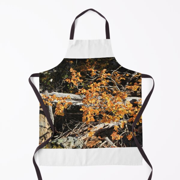 Item preview, Fagus Tasmania, Mt Field National Park designed and sold by Kirsten Covington.