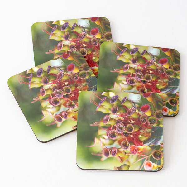 Item preview, Gumnuts And A Cobweb Pattern designed and sold by Joy Watson - Natural Light Photography .