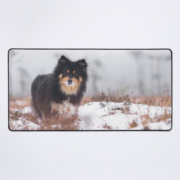 Item preview, Snowy Bog and dog designed and sold by TheNordicNature.