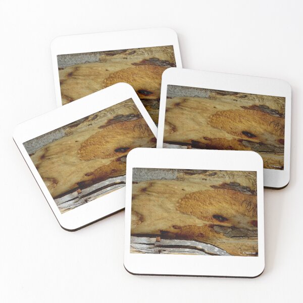 Item preview, Beautiful Gum Tree Trunk designed and sold by Angela Gannicott.