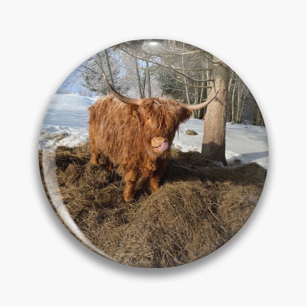 Artikelvorschau, Scottish Highland Cattle Cow 4338 entworfen und verkauft von SaarelaHighland.