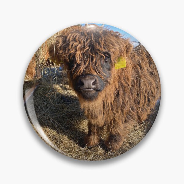 Artikelvorschau, Scottish Highland Cattle Calf 4339 entworfen und verkauft von SaarelaHighland.