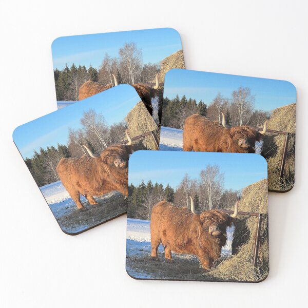 Artikelvorschau, Scottish Highland Cattle Cow 4345 entworfen und verkauft von SaarelaHighland.