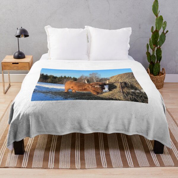 Artikelvorschau, Scottish Highland Cattle Cow 4345 entworfen und verkauft von SaarelaHighland.