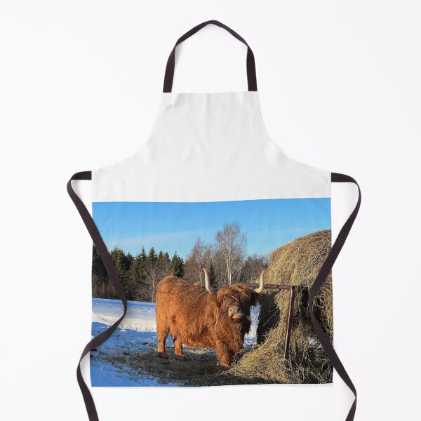 Aperçu de l'œuvre Scottish Highland Cattle Cow 4345 créée et vendue par SaarelaHighland.