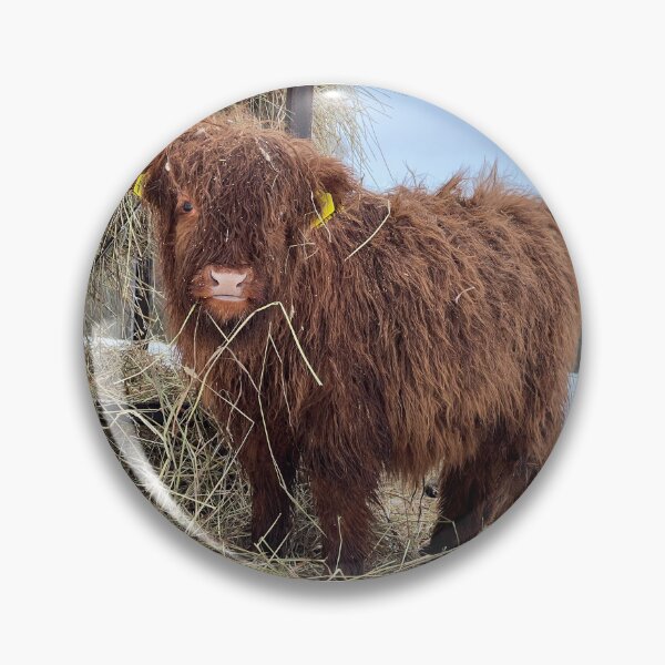 Artikelvorschau, Scottish Highland Cattle Calf 4346 entworfen und verkauft von SaarelaHighland.