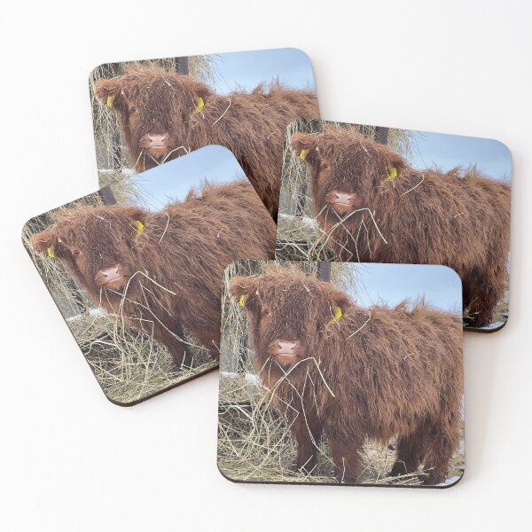 Item preview, Scottish Highland Cattle Calf 4346 designed and sold by SaarelaHighland.