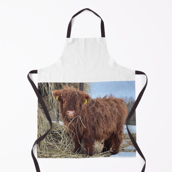 Aperçu de l'œuvre Scottish Highland Cattle Calf 4346 créée et vendue par SaarelaHighland.