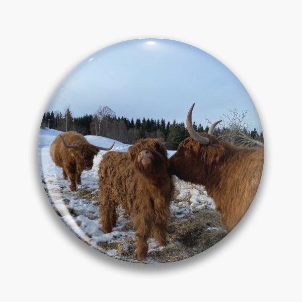 Artikelvorschau, Scottish Highland Cattle Cow and calf 4348 entworfen und verkauft von SaarelaHighland.