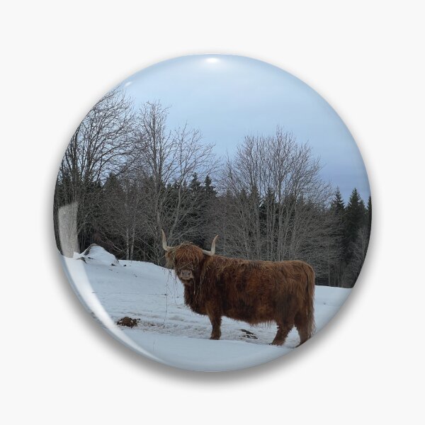 Item preview, Scottish Highland Cattle Cow 4349 designed and sold by SaarelaHighland.