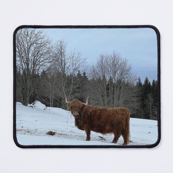 Item preview, Scottish Highland Cattle Cow 4349 designed and sold by SaarelaHighland.