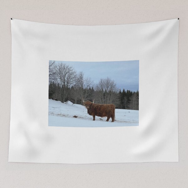 Item preview, Scottish Highland Cattle Cow 4349 designed and sold by SaarelaHighland.