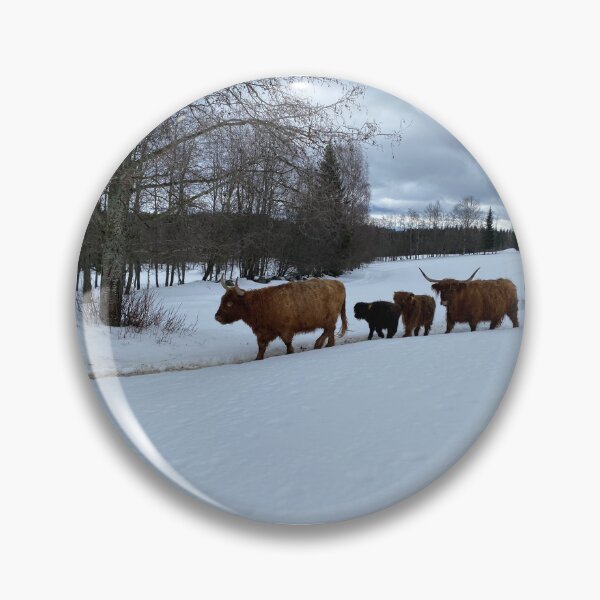 Artikelvorschau, Scottish Highland Cattle Cows 4351 entworfen und verkauft von SaarelaHighland.