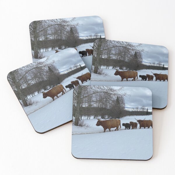 Item preview, Scottish Highland Cattle Cows 4351 designed and sold by SaarelaHighland.
