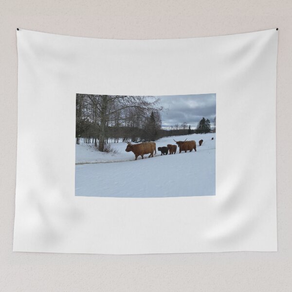 Item preview, Scottish Highland Cattle Cows 4351 designed and sold by SaarelaHighland.