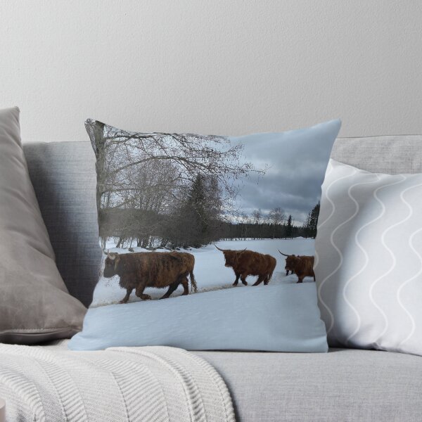 Item preview, Scottish Highland Cattle Cows 4352 designed and sold by SaarelaHighland.