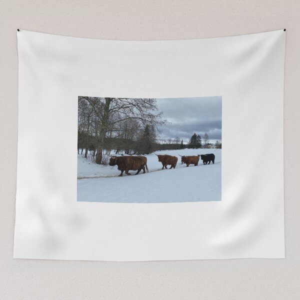Item preview, Scottish Highland Cattle Cows 4352 designed and sold by SaarelaHighland.