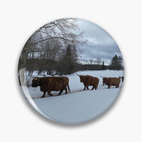 Artikelvorschau, Scottish Highland Cattle Cows 4352 entworfen und verkauft von SaarelaHighland.