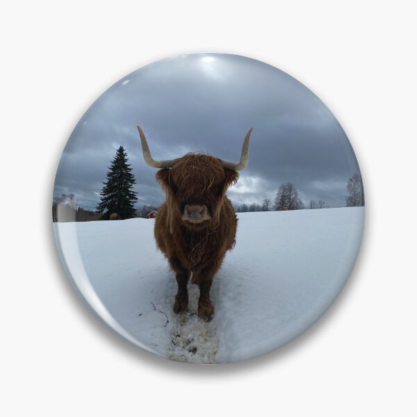 Artikelvorschau, Scottish Highland Cattle Cow 4353 entworfen und verkauft von SaarelaHighland.