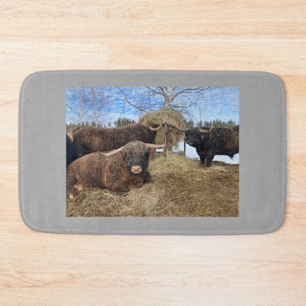 Item preview, Scottish Highland Cattle Bulls 4354 designed and sold by SaarelaHighland.