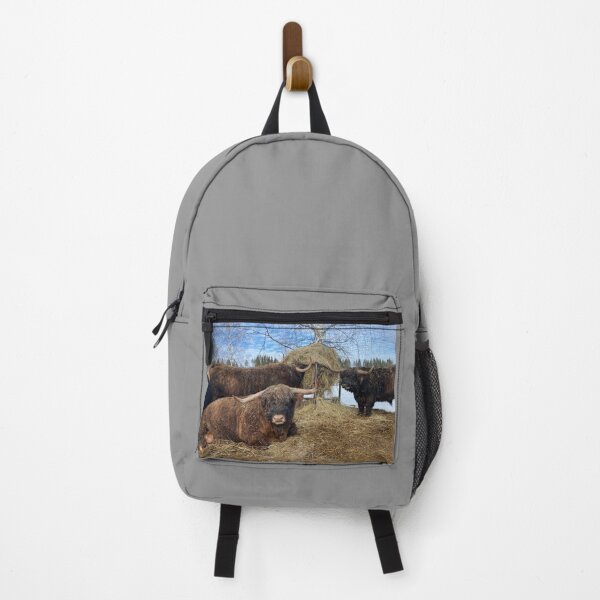 Item preview, Scottish Highland Cattle Bulls 4354 designed and sold by SaarelaHighland.