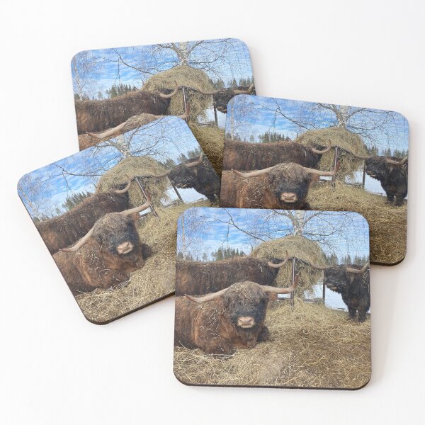 Item preview, Scottish Highland Cattle Bulls 4354 designed and sold by SaarelaHighland.