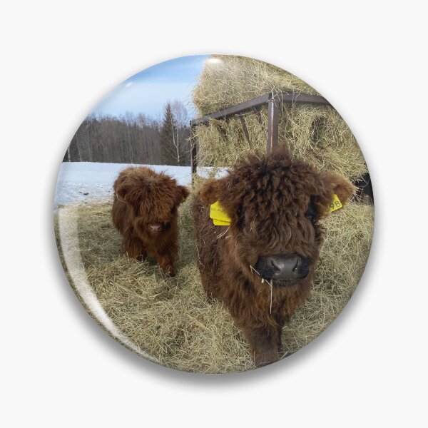 Item preview, Scottish Highland Cattle Calves 4355 designed and sold by SaarelaHighland.