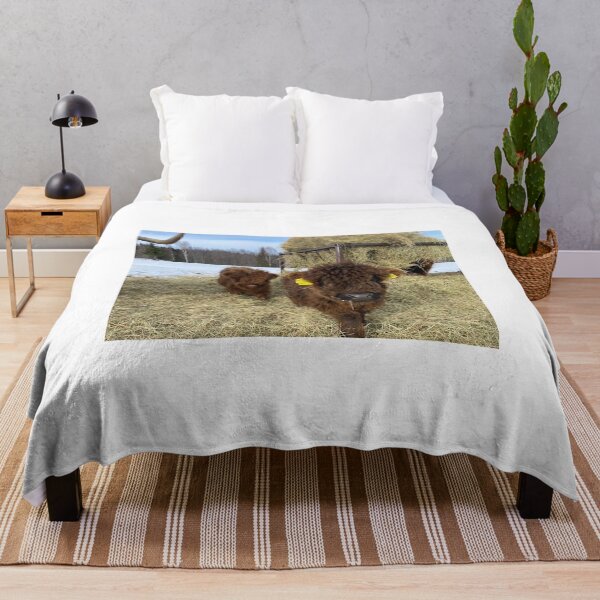 Item preview, Scottish Highland Cattle Calves 4355 designed and sold by SaarelaHighland.