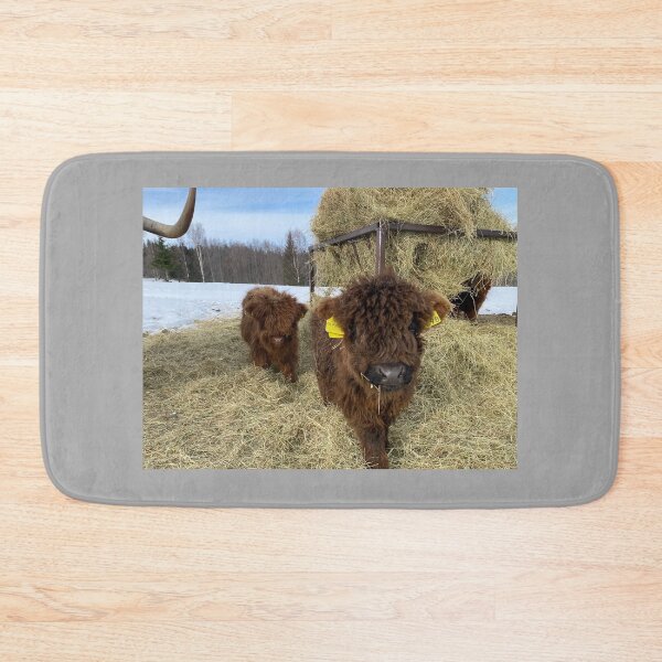 Item preview, Scottish Highland Cattle Calves 4355 designed and sold by SaarelaHighland.