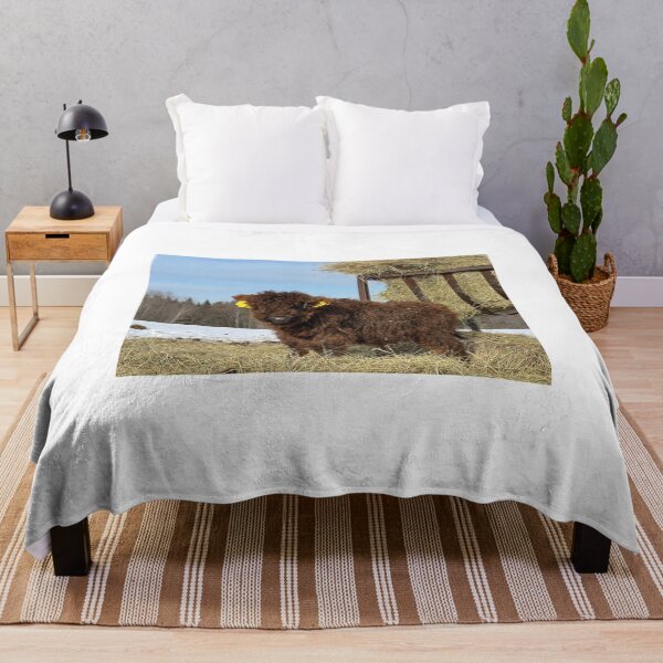 Aperçu de l'œuvre Scottish Highland Cattle Calf 4356 créée et vendue par SaarelaHighland.