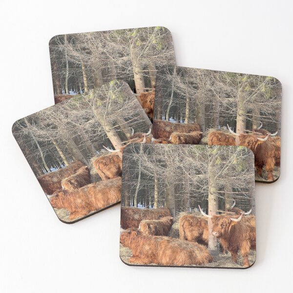 Item preview, Scottish Highland Cattle Cows 4357 designed and sold by SaarelaHighland.