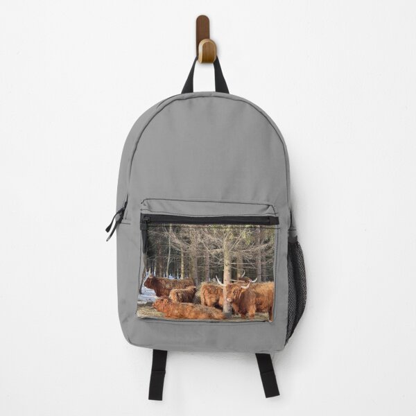 Item preview, Scottish Highland Cattle Cows 4357 designed and sold by SaarelaHighland.