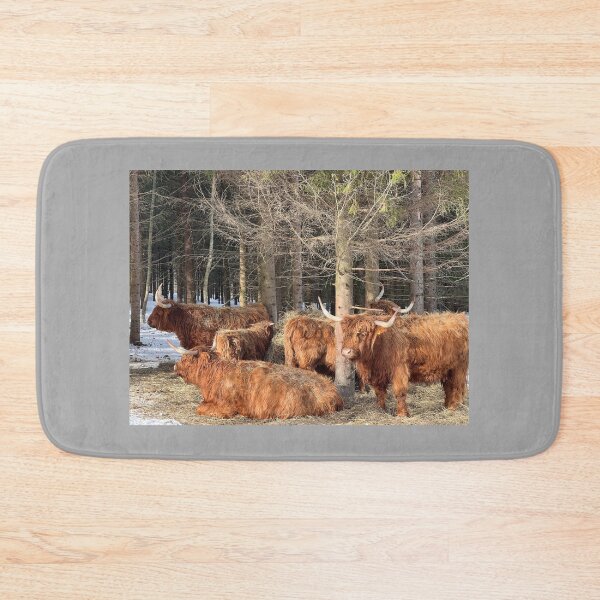 Item preview, Scottish Highland Cattle Cows 4357 designed and sold by SaarelaHighland.