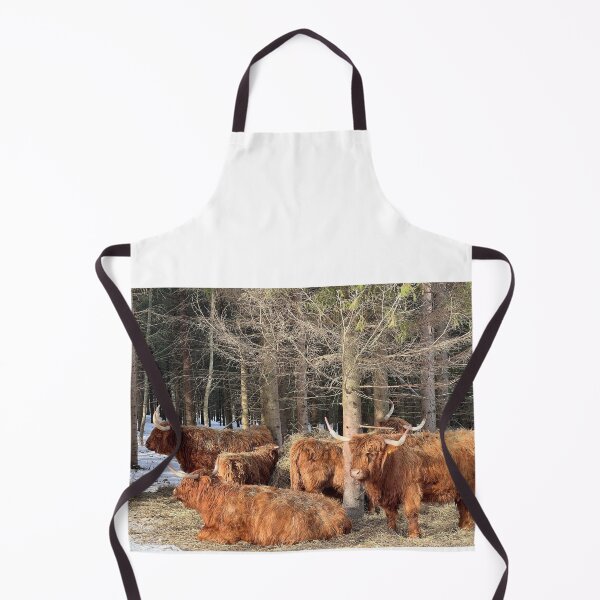 Aperçu de l'œuvre Scottish Highland Cattle Cows 4357 créée et vendue par SaarelaHighland.