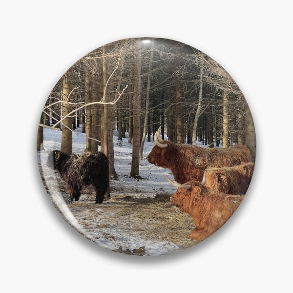 Artikelvorschau, Scottish Highland Cattle Cows 4358 entworfen und verkauft von SaarelaHighland.