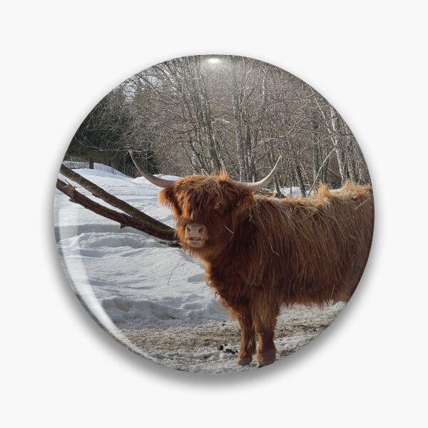 Artikelvorschau, Scottish Highland Cattle Cow 4359 entworfen und verkauft von SaarelaHighland.