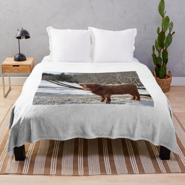 Item preview, Scottish Highland Cattle Cow 4359 designed and sold by SaarelaHighland.