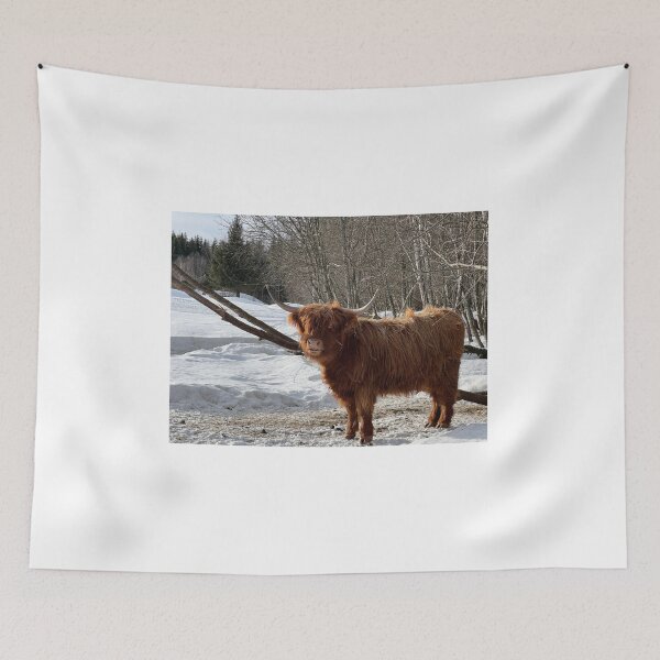 Item preview, Scottish Highland Cattle Cow 4359 designed and sold by SaarelaHighland.