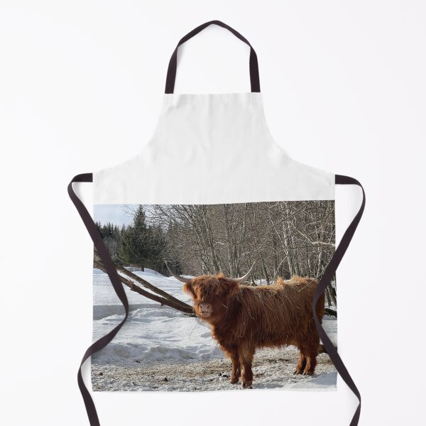 Aperçu de l'œuvre Scottish Highland Cattle Cow 4359 créée et vendue par SaarelaHighland.