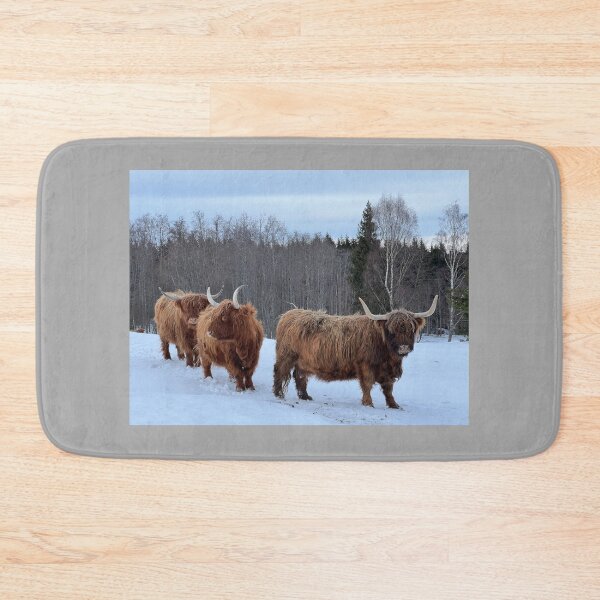 Item preview, Scottish Highland Cattle Cows 4360 designed and sold by SaarelaHighland.