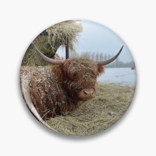 Item preview, Scottish Highland Cattle Cow 4362 designed and sold by SaarelaHighland.
