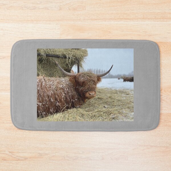Item preview, Scottish Highland Cattle Cow 4362 designed and sold by SaarelaHighland.