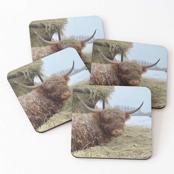 Item preview, Scottish Highland Cattle Cow 4362 designed and sold by SaarelaHighland.