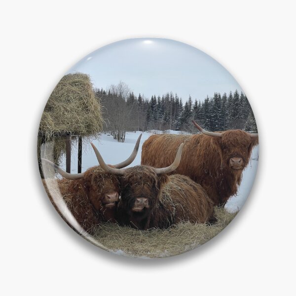 Artikelvorschau, Scottish Highland Cattle Cows 4363 entworfen und verkauft von SaarelaHighland.