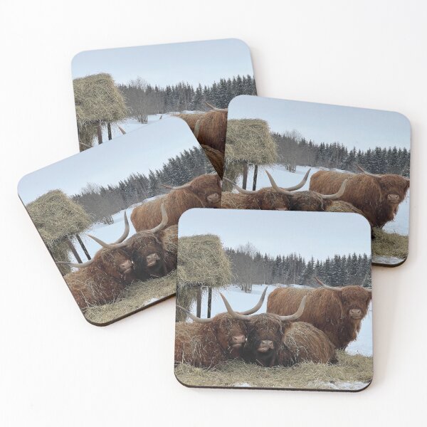 Artikelvorschau, Scottish Highland Cattle Cows 4363 entworfen und verkauft von SaarelaHighland.