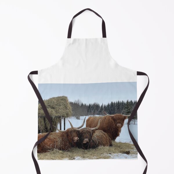 Aperçu de l'œuvre Scottish Highland Cattle Cows 4363 créée et vendue par SaarelaHighland.